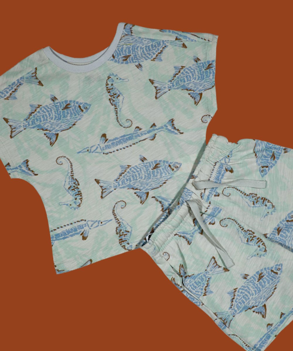Boys 2 pes Set(0/3 M to 3 Years) (98242)
